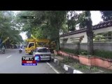 Dinas Kebersihan dan Pertamanan Kota Sukabumi Tebang Pohon Tua di Jalan Utama Sukabumi - NET12