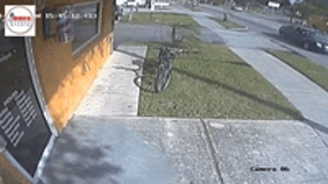 Small Plane Has Emergency Landing on a Florida Street, Strikes Two Cars