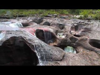 NET17 - Sungai Pelangi beragam warna di Kolombia karena pantulan ganggang