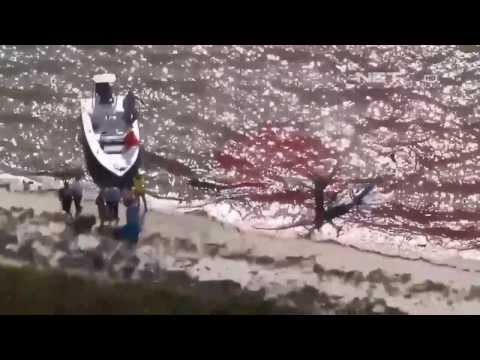 NET12 - Paus Pilot terdampar di perairan dangkal Florida Amerika