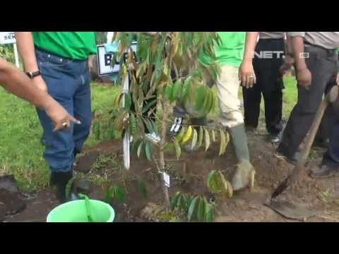 NET17 - Warga Ponorogo ikuti gerakan tanam 1.000 Pohon