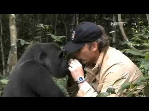 NET12 - Pecinta satwa yang hidup dan berperilaku mirip satwa