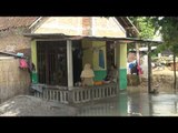 NET12 - Banjir Bojonegoro akibat luapan sungai Bengawan Solo