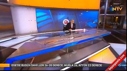 Viyana Havaalanı'nda köpekli arama