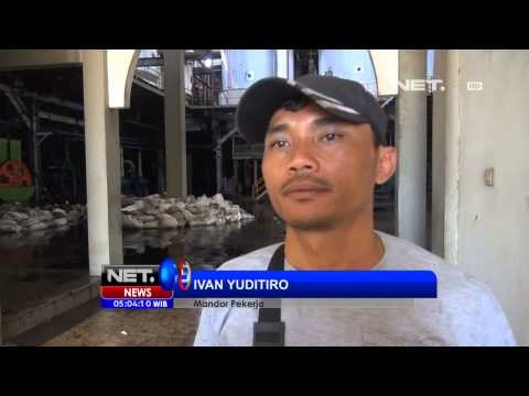 NET5 - Pekerja tewas racun mesin produksi