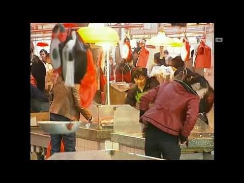 NET5 - 2700 unggas China dimusnahkan