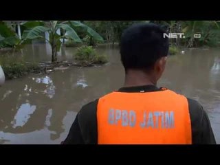 NET12 - Tim SAR Evakuasi Korban Banjir Jember