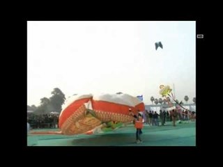 NET12 - Festival layang-layang International di India
