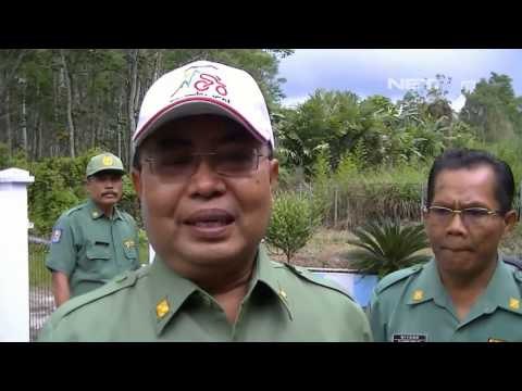 IMS - Aktivitas Gempa Tremor Gunung Raung Meningkat