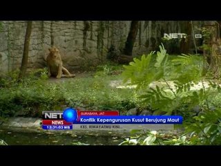 NET12 - Penyelidikan Kebun Binatang Surabaya
