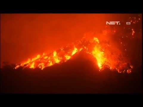 NET5 - Kebakaran hutan Amerika