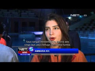 NET5 - Pertunjukan hewan di Afganistan