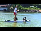 NET12 - Anjing di Brazil berseluncur di atas air