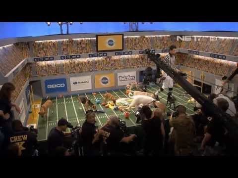 NET17 - Puppy Bowl di Amerika Serikat