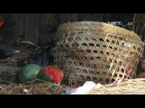 NET12 - Imbas Cuaca Buruk Ganggu Distribusi Buah