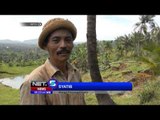 NET5 - Tanah Longsor di Sumenep Jawa Timur