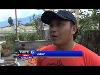 NET17 - Harga sayuran melonjak tinggi