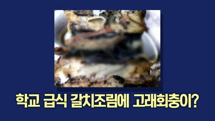 [이브닝] 학교 급식 갈치조림에 고래회충이? / YTN