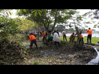 NET12 - Pembersihan eceng gondok