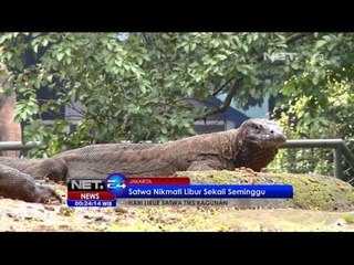 NET24 - Hari Libur Satwa Taman Margasatwa Ragunan