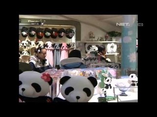 NET24 - Mencari Pernak-pernik Panda
