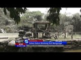 NET5 - Satwa Kebun Binatang Gembiraloka Yogyakarta Ikut Mengungsi