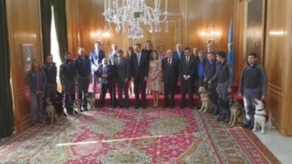 Reyes reciben a las Medallas de Asturias, entre ellos los perros de rescate