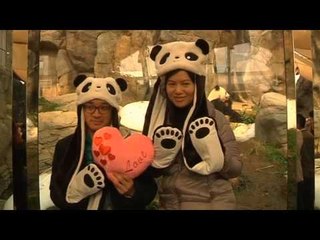 NET5 - Kencan Kilat Cina