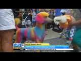 IMS - Karnaval ratusan anjing dan kucing dengan kostum lucu di Brazil