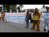 NET24-Aksi Damai di Jogja untuk Peduli Perlindungan Satwa Langka