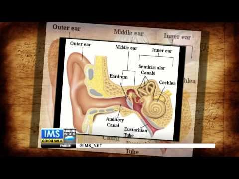 IMS-Today's History-3 Maret-Hari Peringatan Perawatan Telinga Sedunia