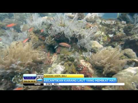 IMS - Wisata wisata asal Pulau Bali yang mengangumkan