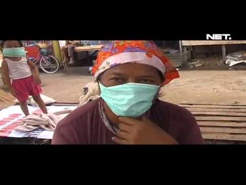 NET17 Asap Kebakaran Hutan di Riau Mencapai Padang