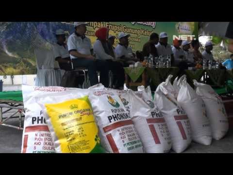 NET12 - Bantuan pupuk untuk ladang petani lereng Kelud yang rusak