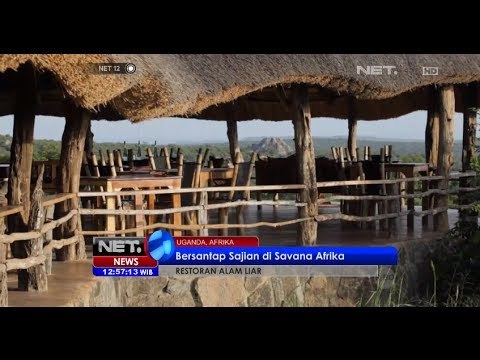 NET12 - Restoran alam liar dengan sensasi bersantap di alam liar