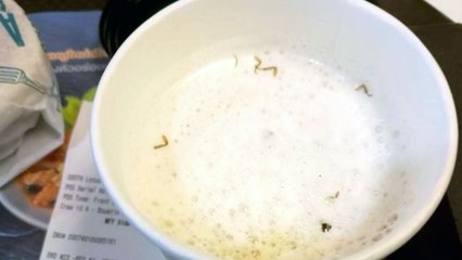 태국 맥도날드 '바퀴벌레 커피' 논란 / YTN