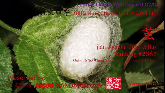 Silkworm was my pet in school, can make girls screaming! Chinese Radical # 12 虫 虫字旁 Insect