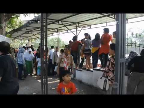 NET24-Pengunjung Padati Taman Buaya Asam Kumbang di Medan