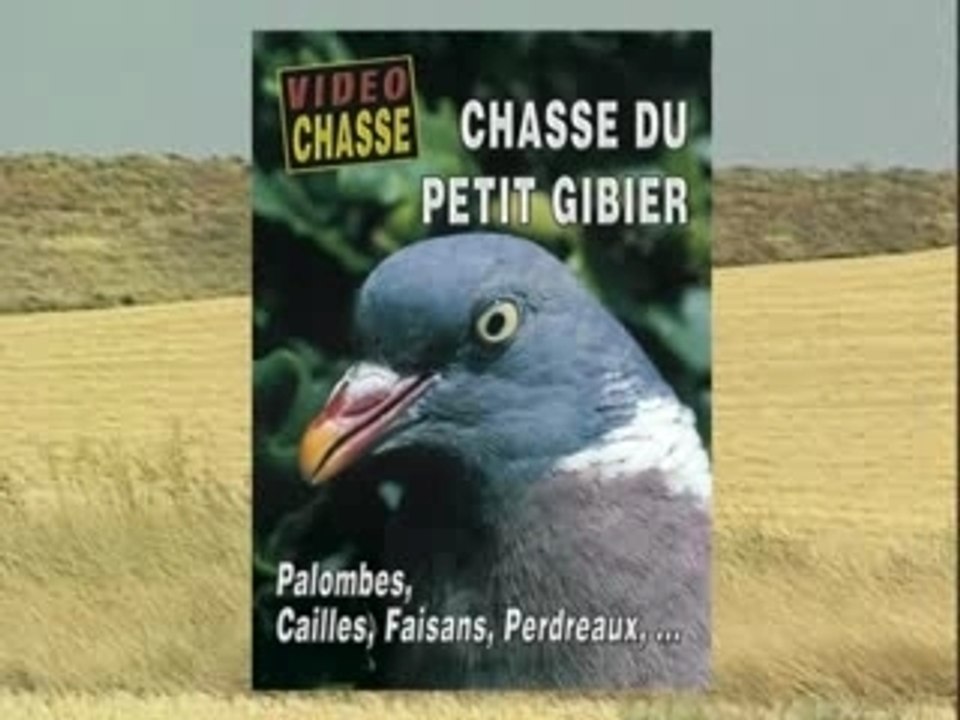 Chasse du petit gibier