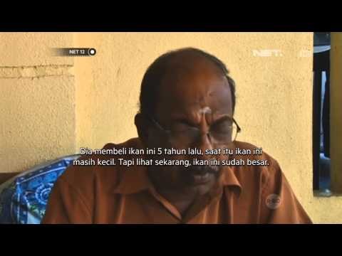 NET12-Kondisi Keluarga Penumpang Pesawat MAS MH370