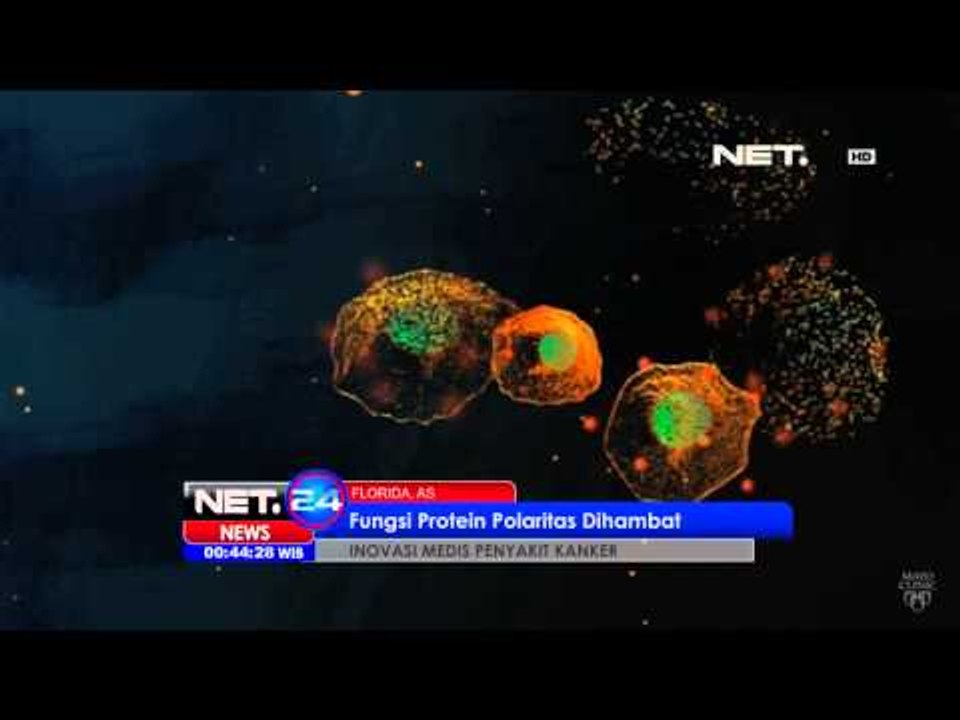 NET24 - Inovasi medis penyakit kanker di Florida