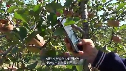 다큐 시선.E32.171020