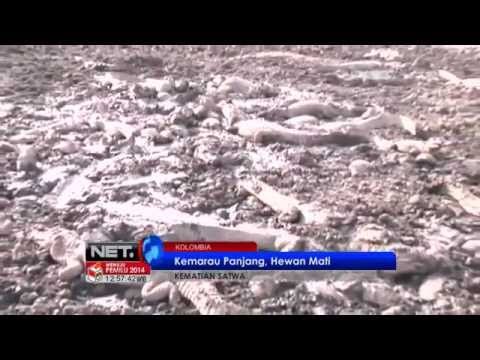 NET12-Kemarau Panjang Kolombia Ditetapkan Sebagai Bencana Nasional