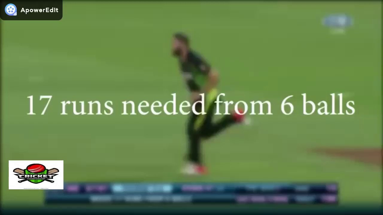 Yuvraj 17 runs 6 balls vs Austraila highlight