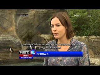 NET12 - Tim peneliti di Kebun Binatang Taronga Sidney Australia mencari rahasia kehidupan pinguin