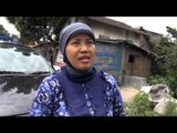 NET24 - Alat Peraga Kampanye Mulai di Tertibkan di Semarang