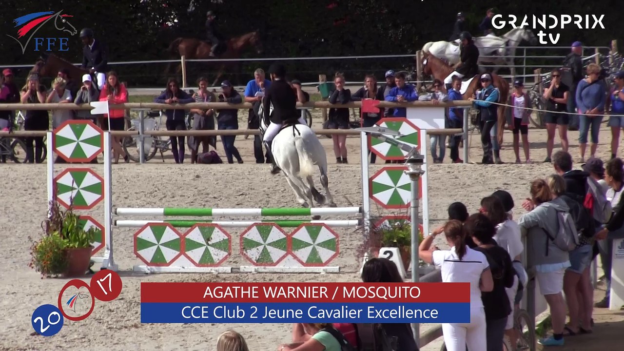 CCE Club 2 Jeune Cavalier Excellence