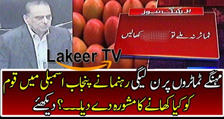 PML-N Minister Speech Over Expensive Tomatoes