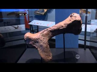 NET24-Simulator Interaktif untuk Perkenalkan Binatang yang Sudah Punah