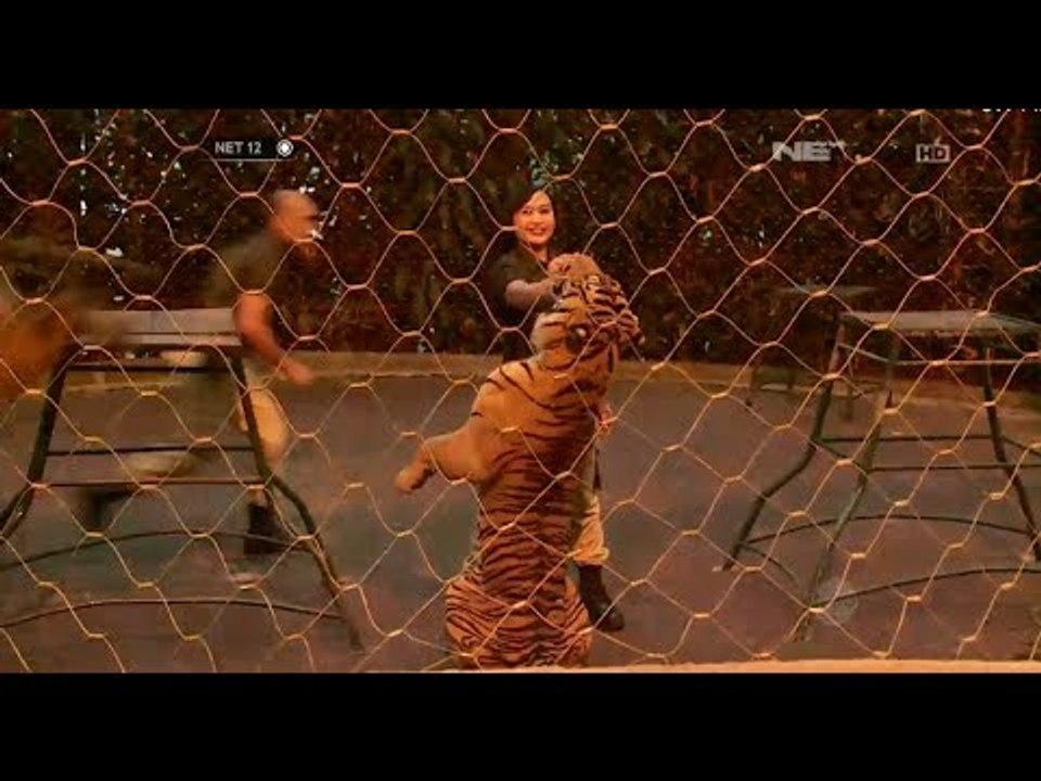 NET12 - Yana Mau Nanya - Bagaimana sisi feminim mampu luluhkan sisi liar si Raja Hutan